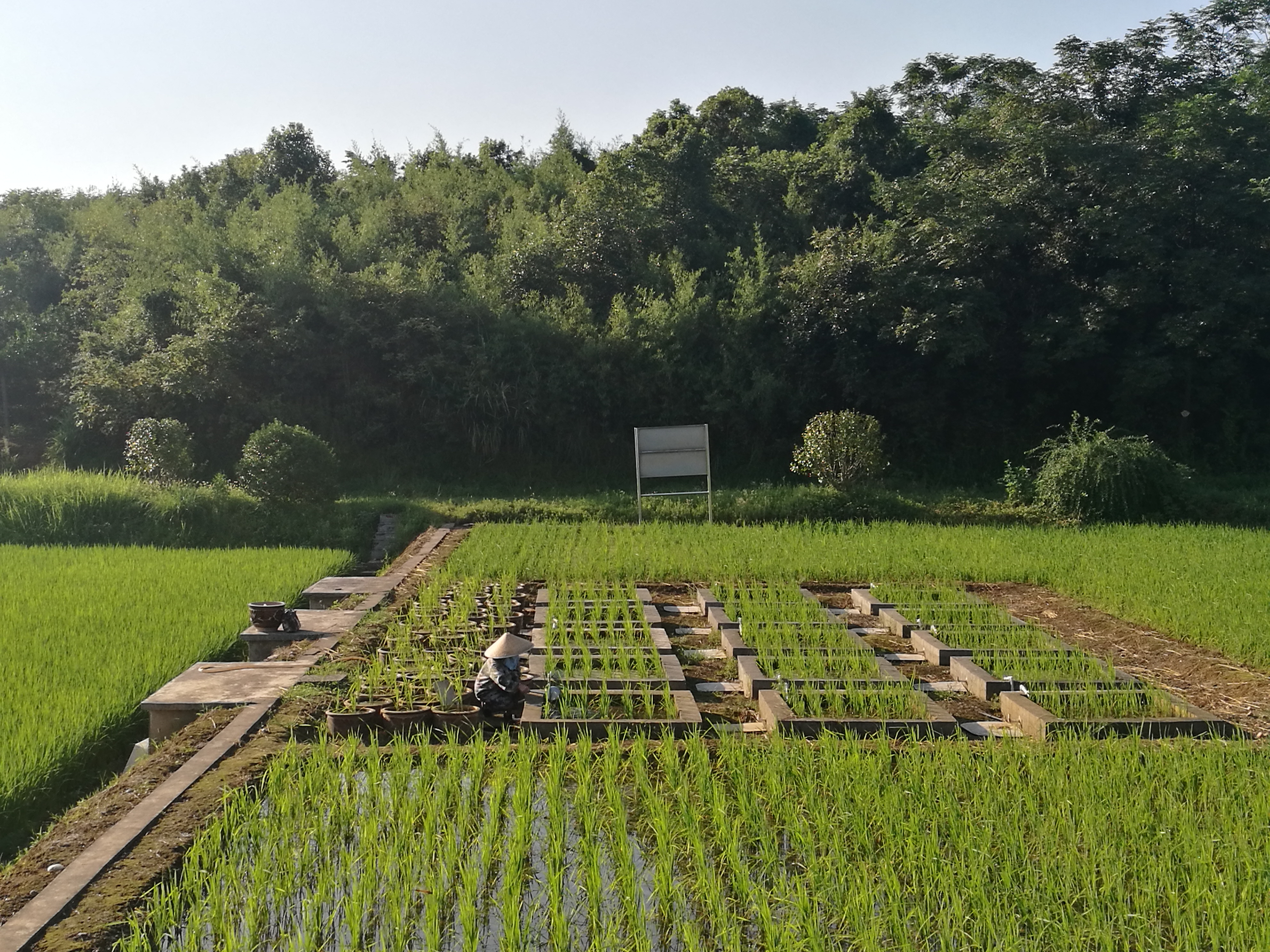 桃源站异地置土长期定位试验