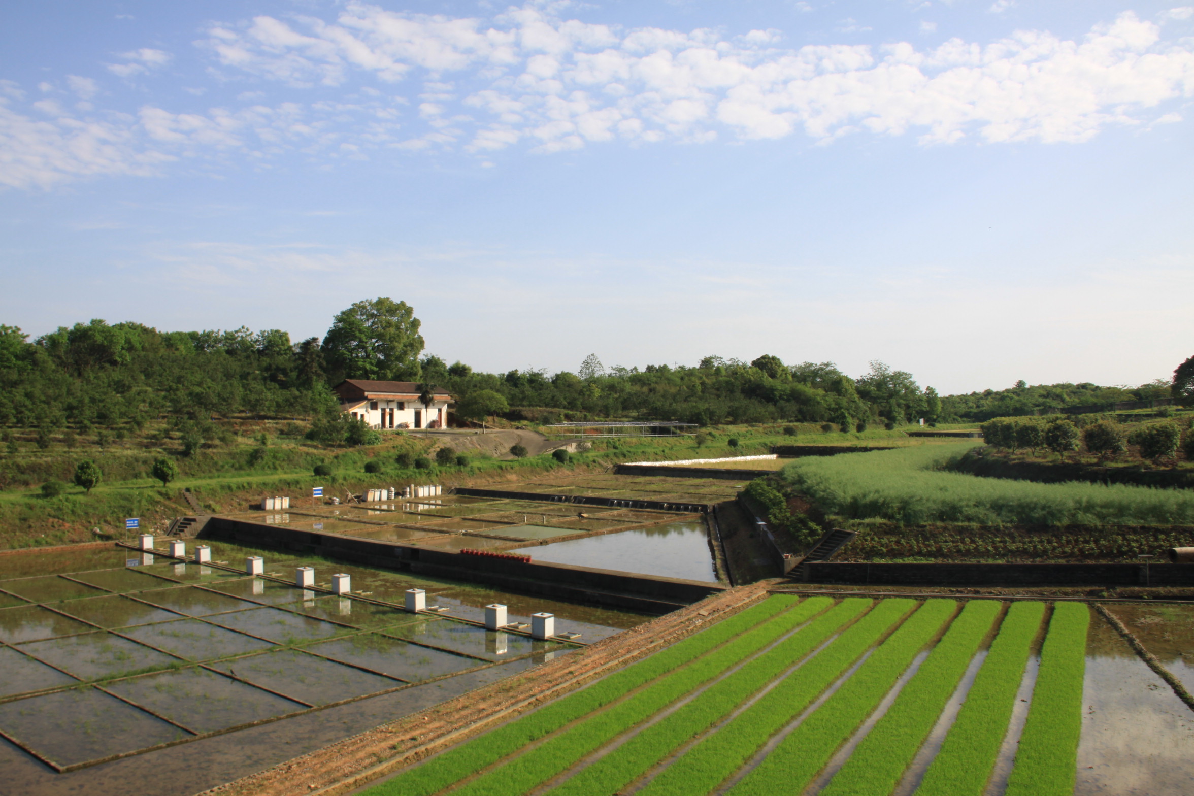 桃源站宝洞峪试验场一角